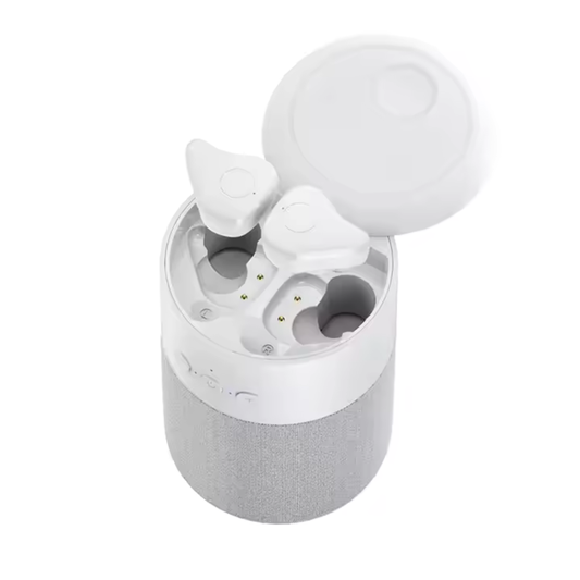 Lostech | LS-B20 | Wireles Earphones w/ Speaker Case
