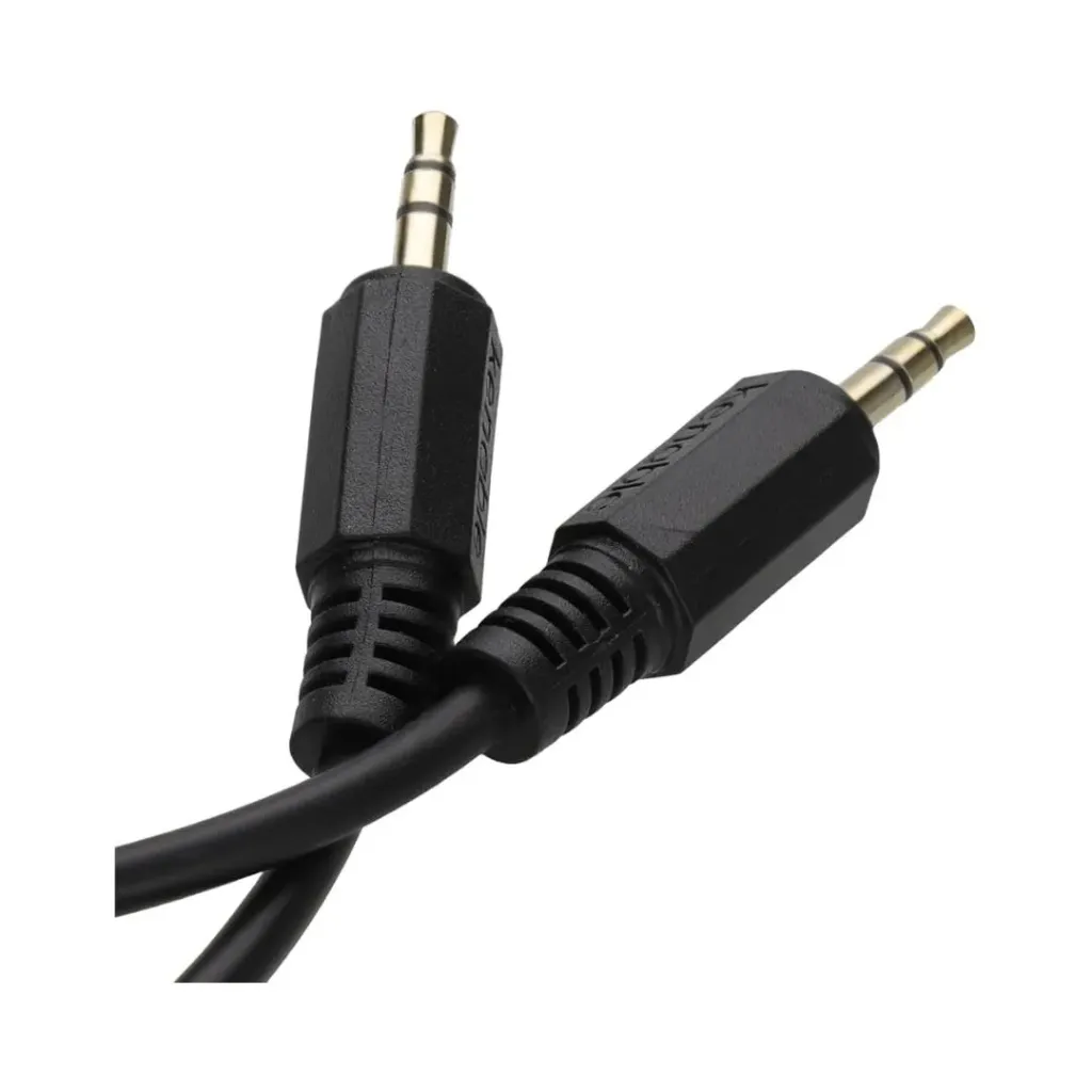 [12072] AUX Cable 0.25M