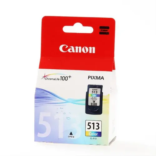 [4960999617022] Canon 513 Color Ink Cartridge