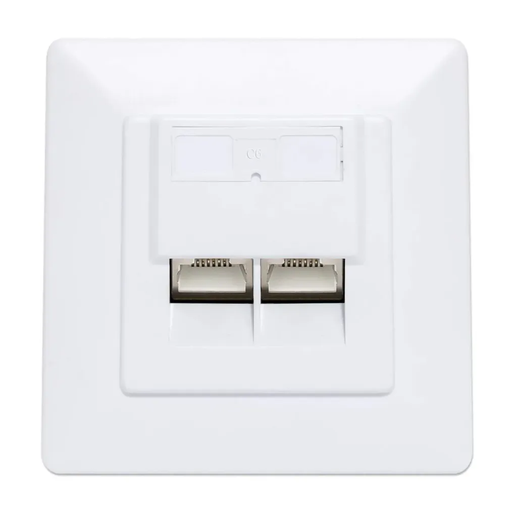 Dual Port Wall Plate RJ45 Panel